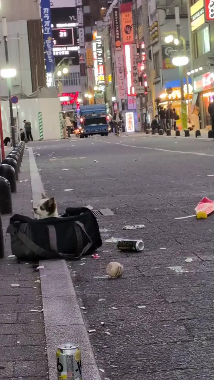 @Japan Nightlife