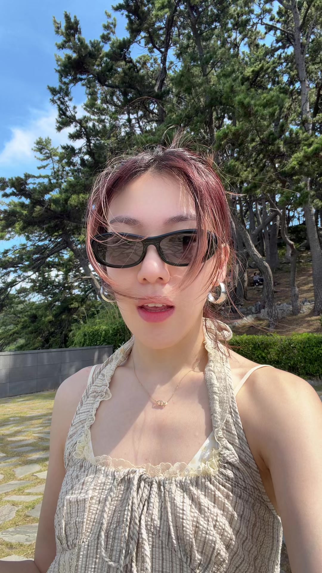 @aanelyin