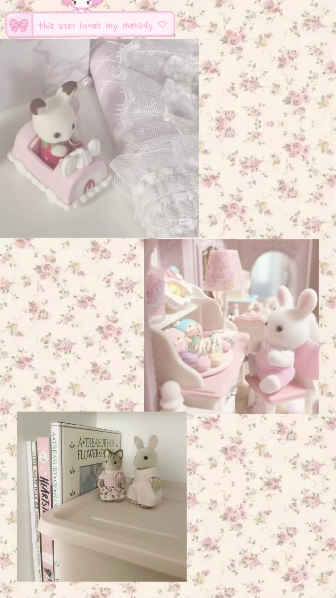 @₊˚⊹♡ 𝒌𝒊𝒕𝒕𝒊𝒎𝒆𝒐𝒘𝒙 ♡⊹˚₊