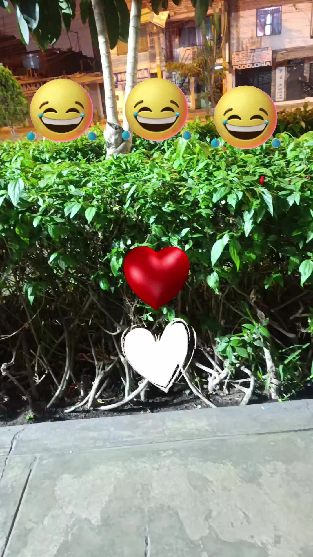 @🌻❤️✨greeisy✨❤️🌻