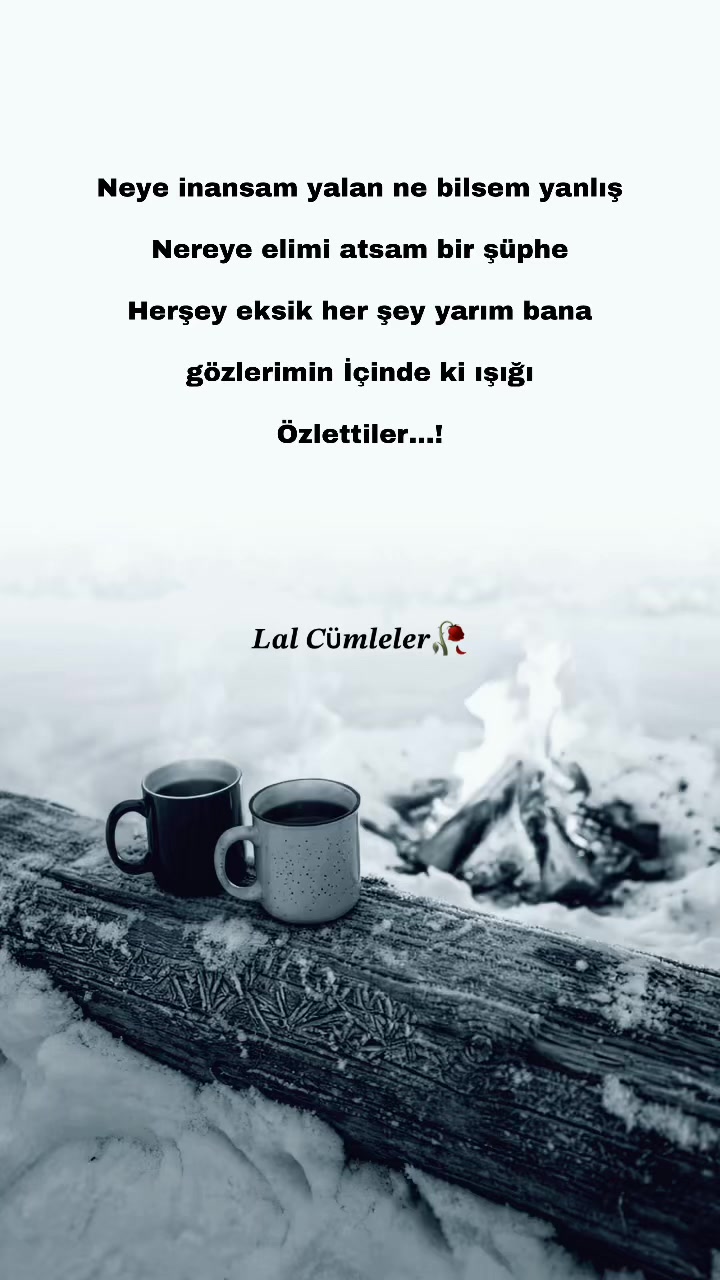 @𝑳𝒂𝒍 𝑪ü𝒎𝒍𝒆𝒍𝒆𝒓✍️