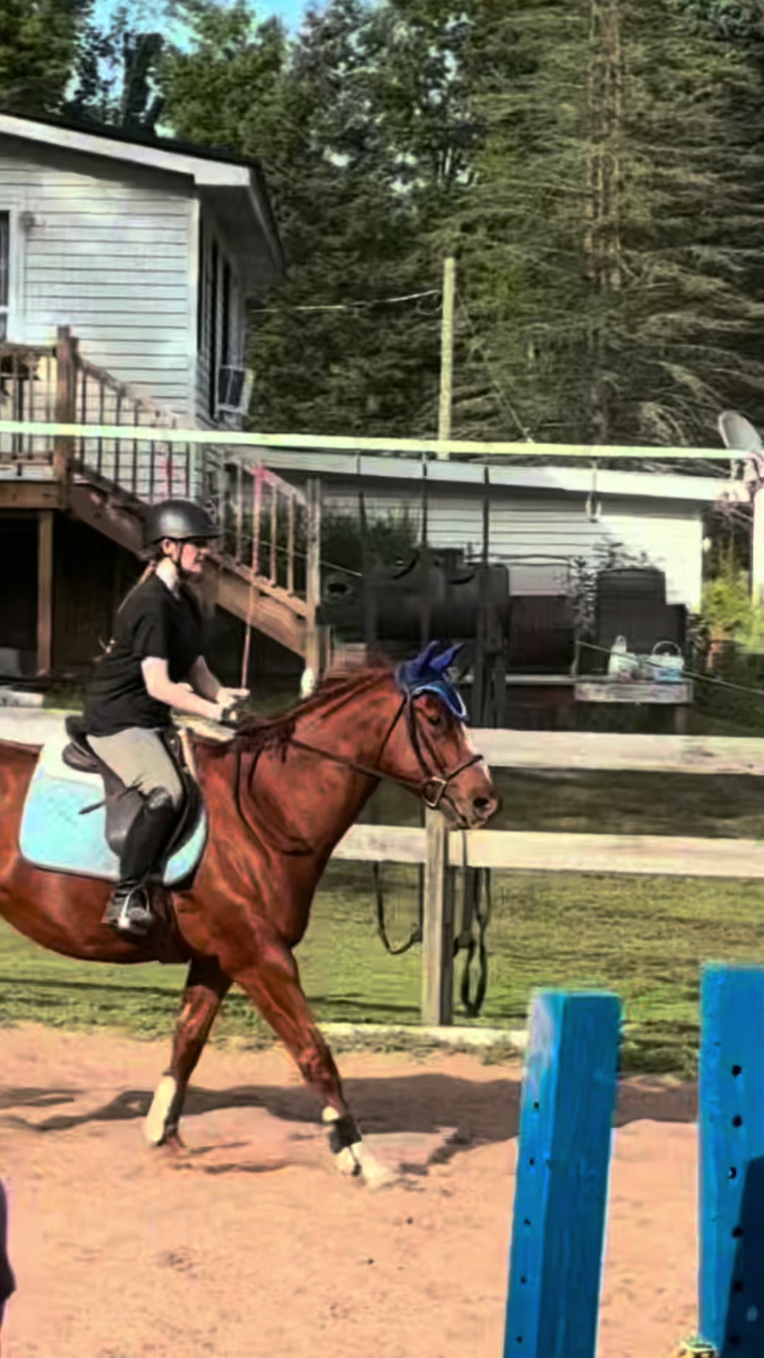 @🐎Aby 😌👌✨️