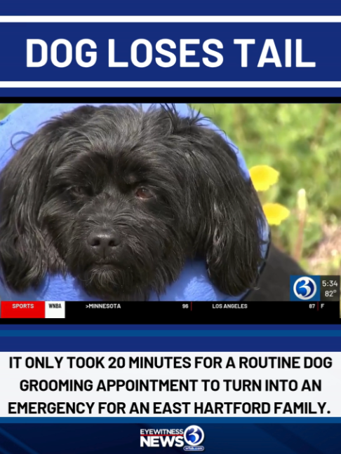 @wfsbnews