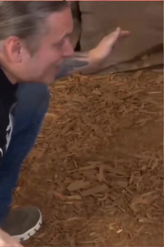 @eFukt