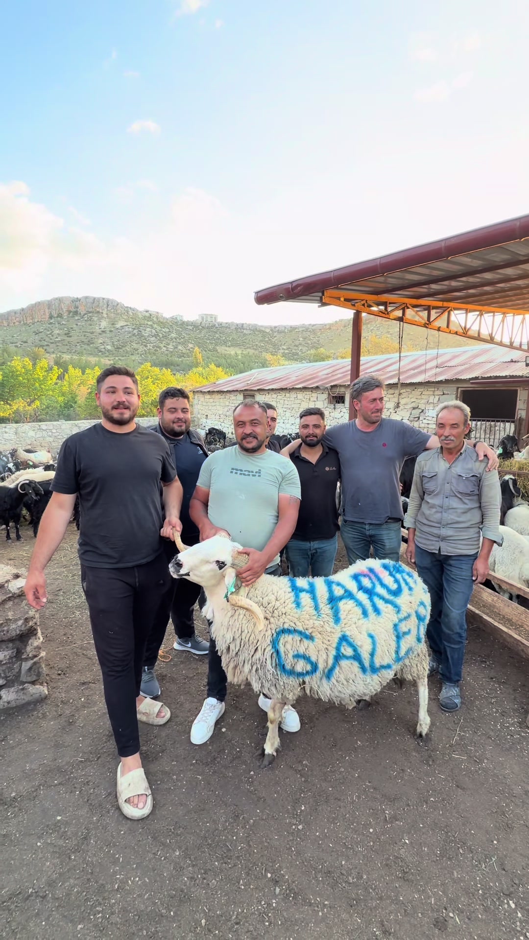 @Mehmet ÜNAL