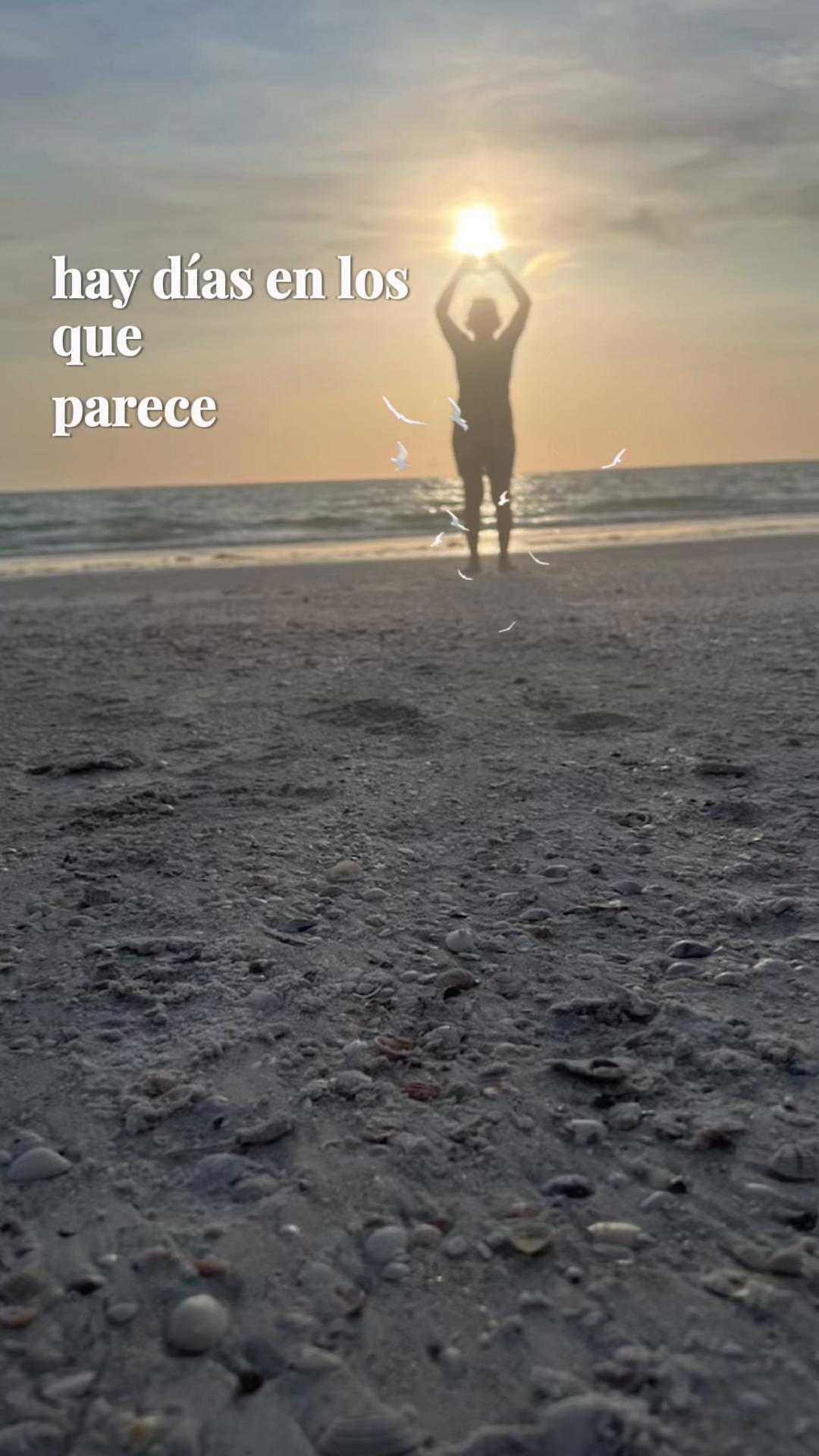 @Evelin Fernandez6043