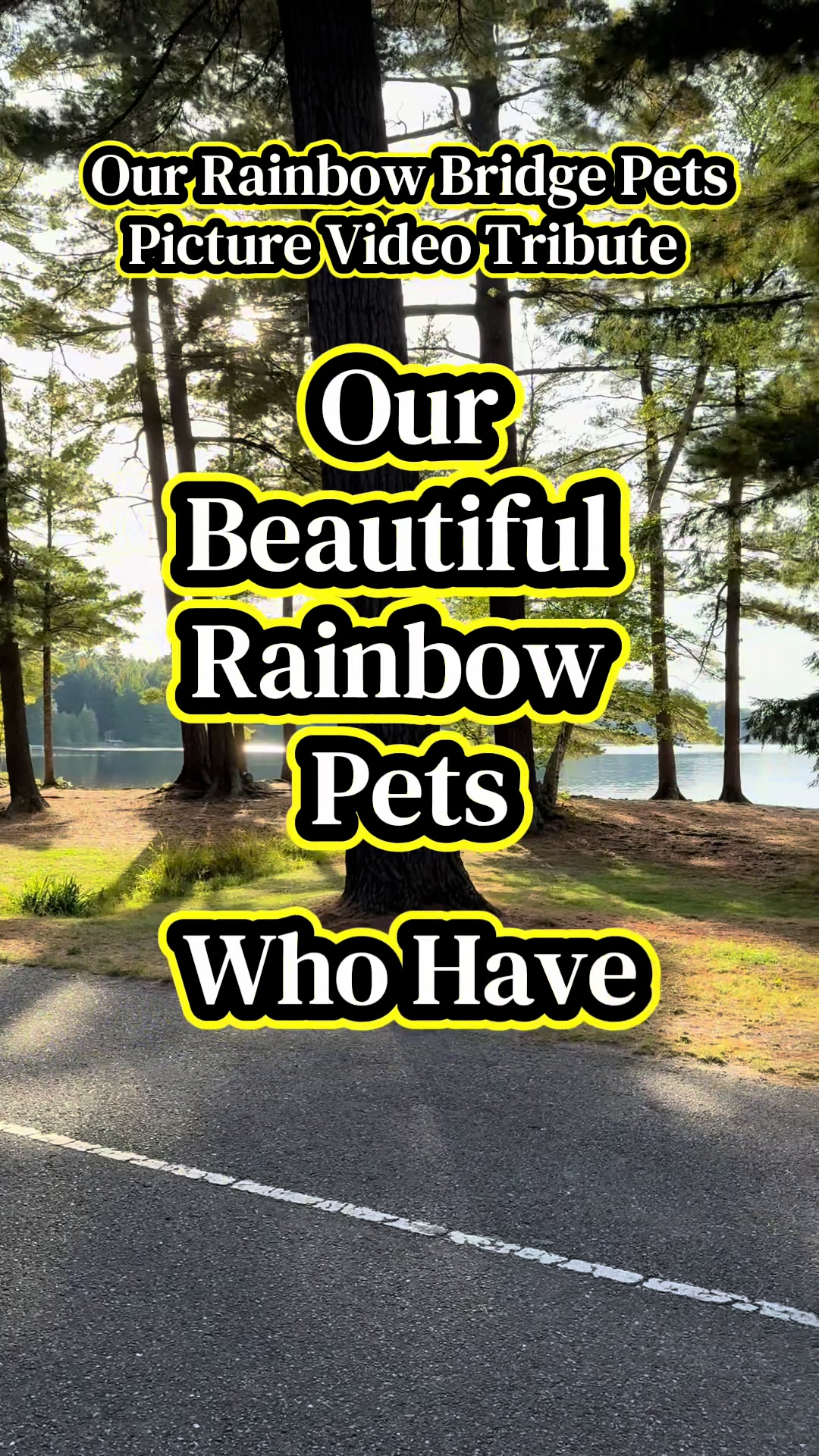 @OurRainbowBridgePets