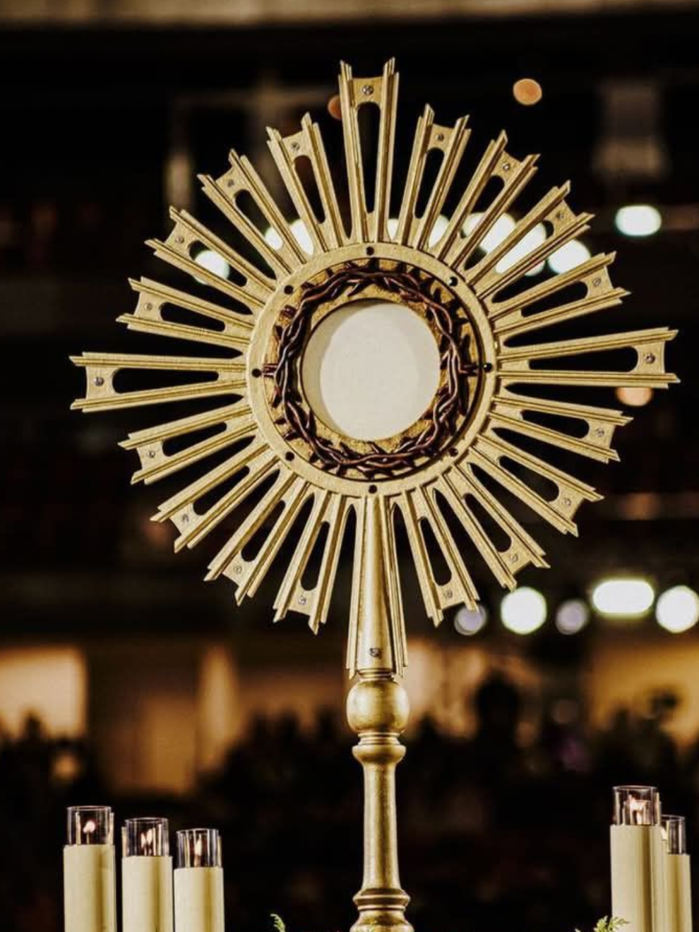 @jovem cat&oacute;lico