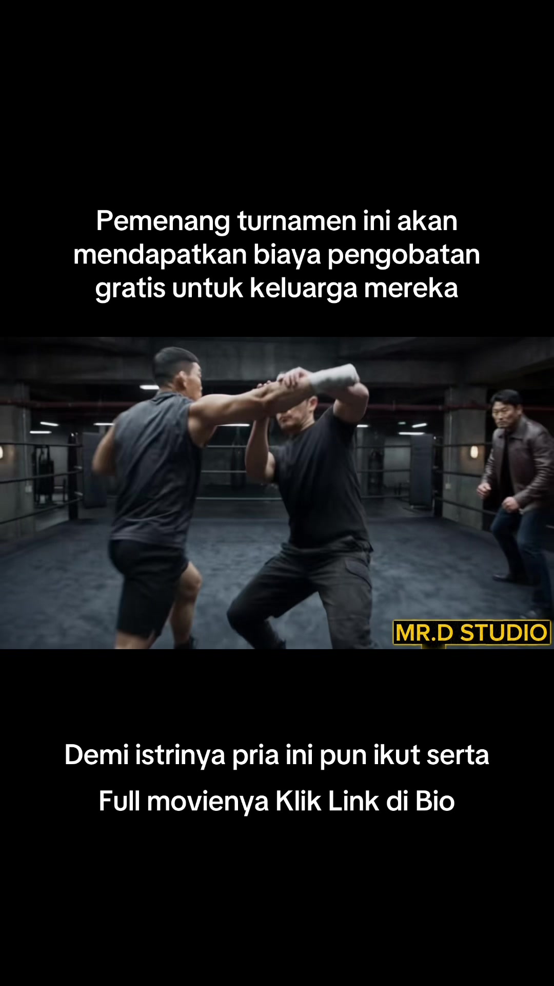 @Mr.D Studio