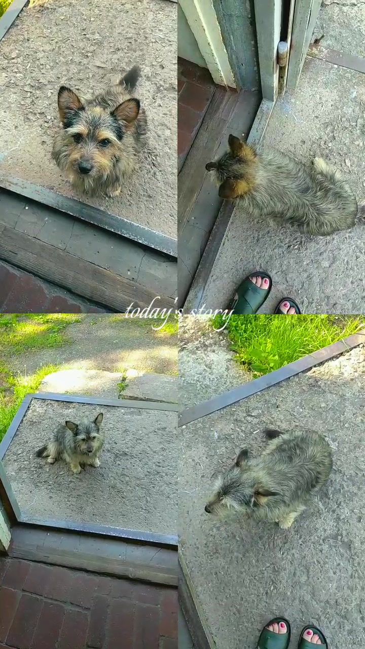 @꧁༺🍃 🌸Оля🌸🍃༻꧂