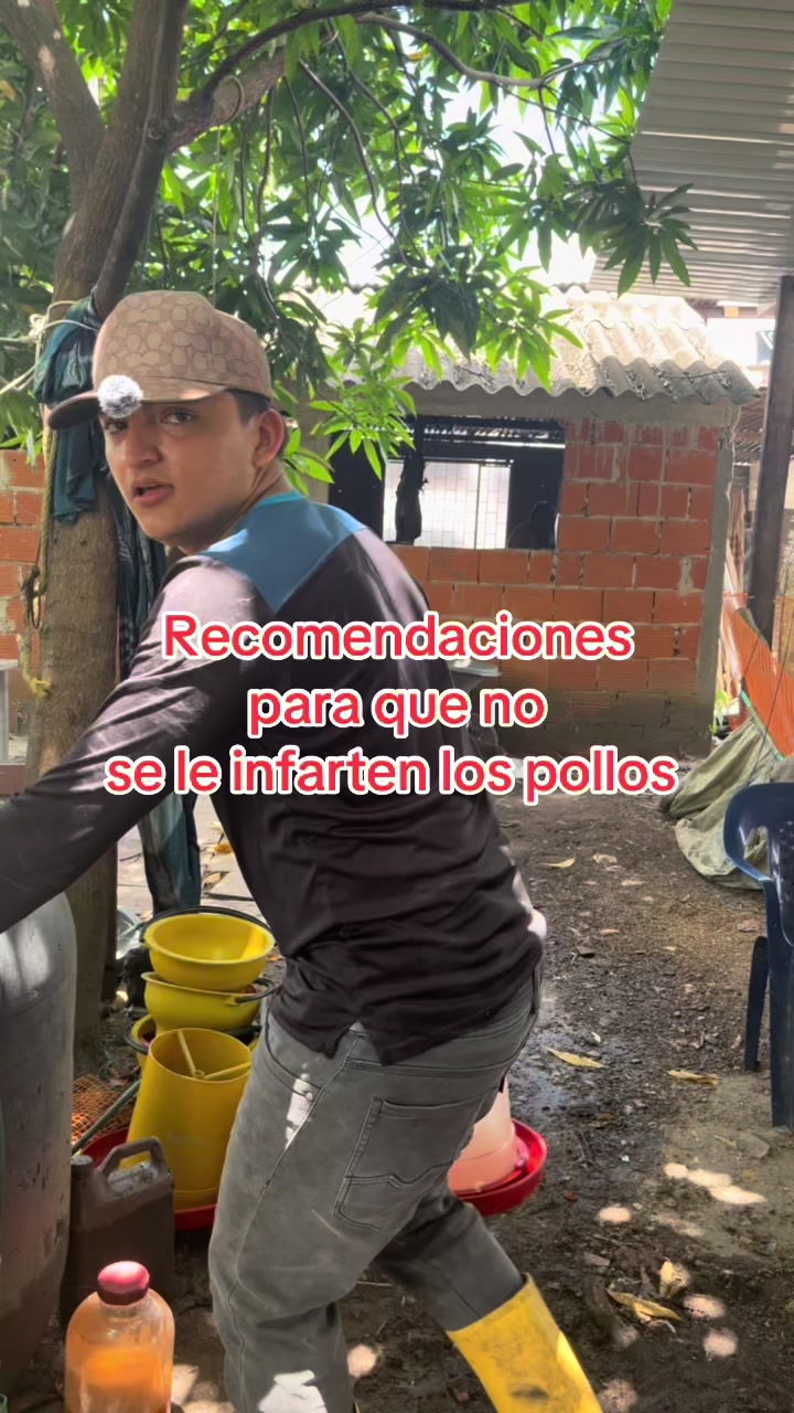 @elmagnatedelospollos