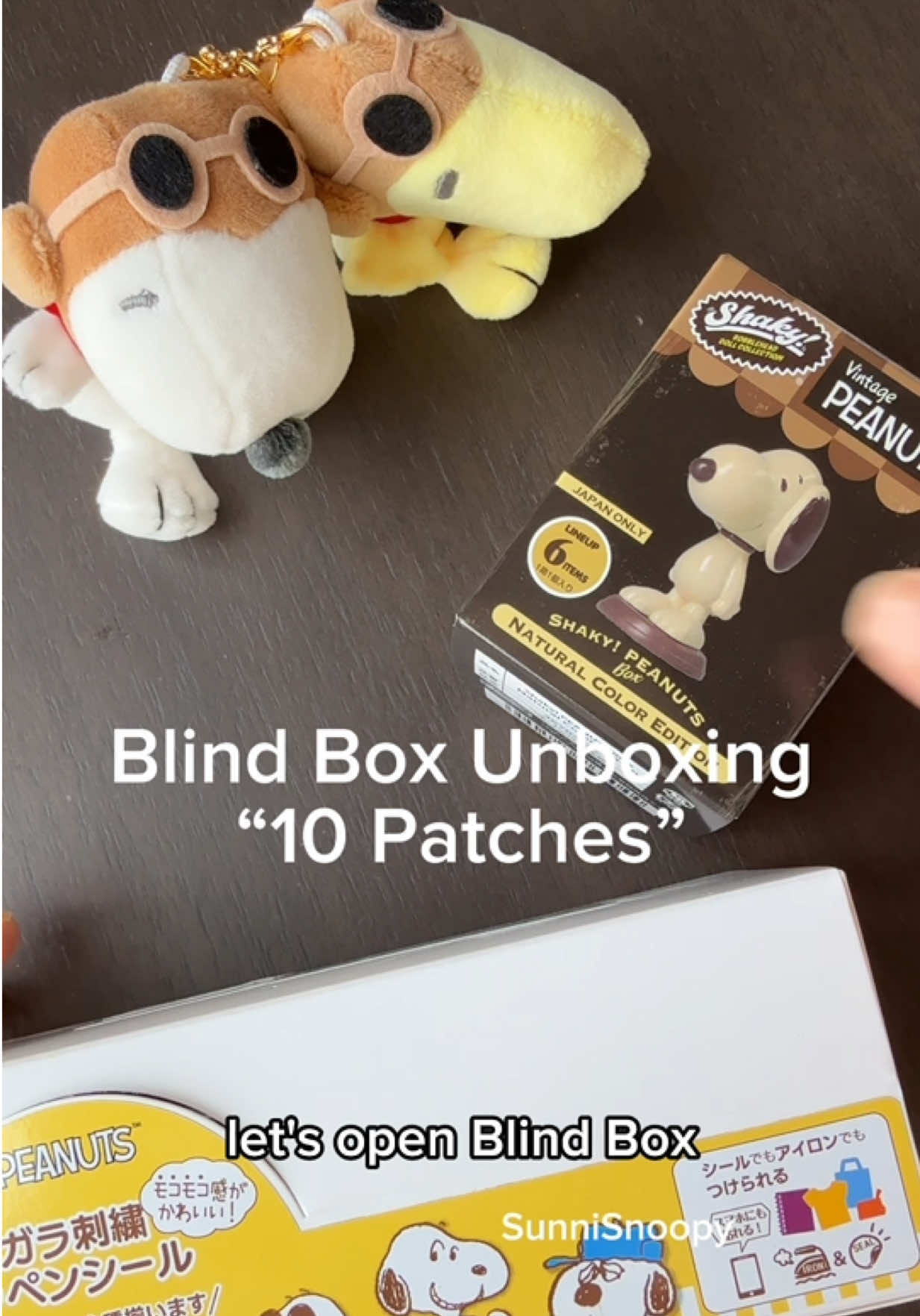 @SunniSnoopy | PEANUTS