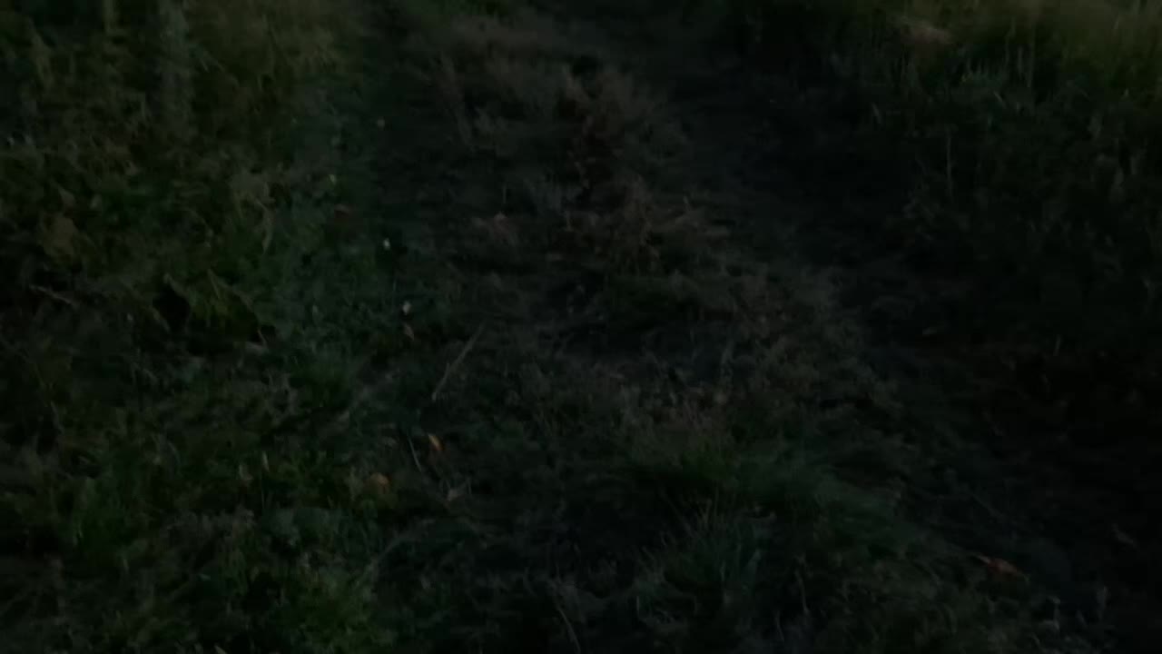 @SHWEEEPS
