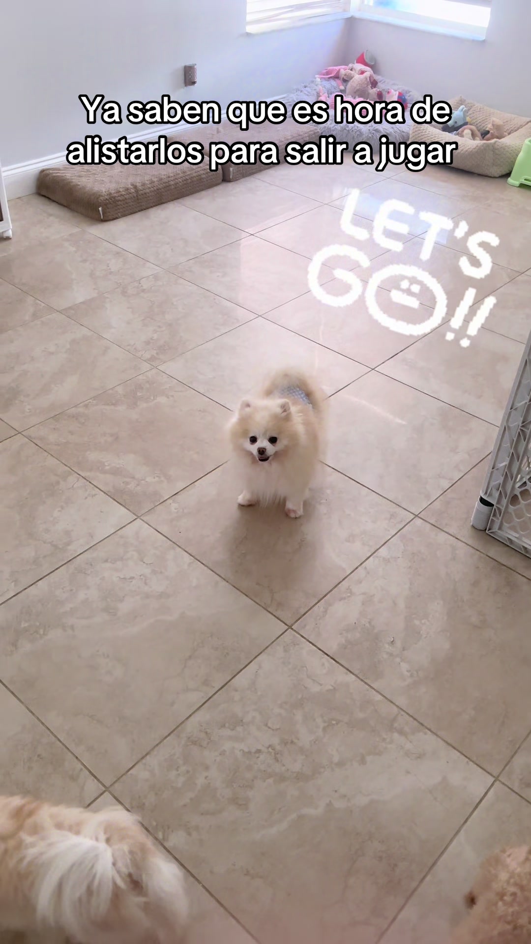 @A.PAWS🐕🐾