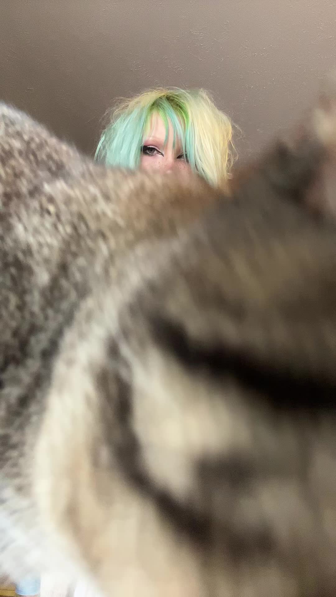 @toofs
