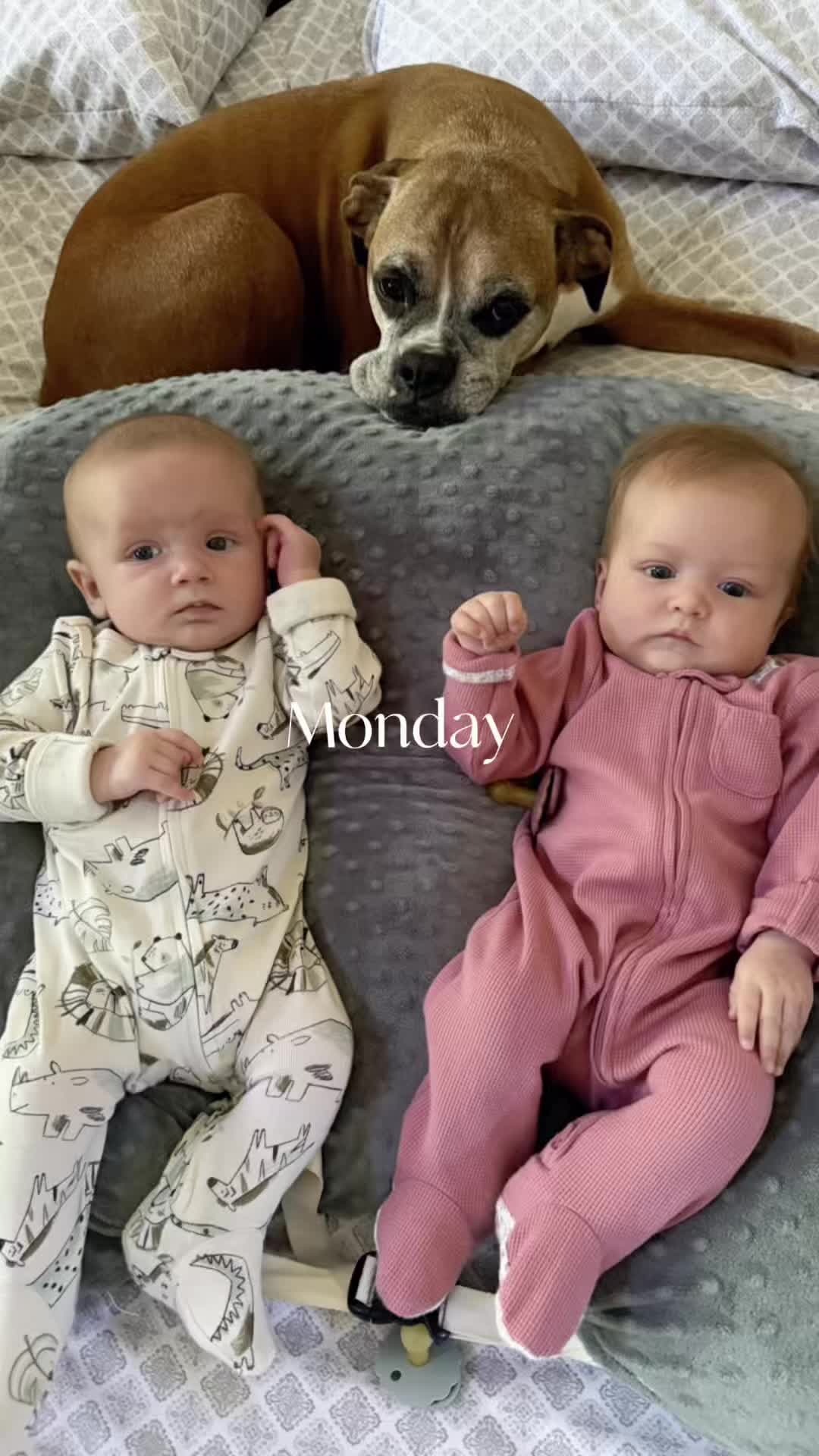 @mamaoftwinkies1