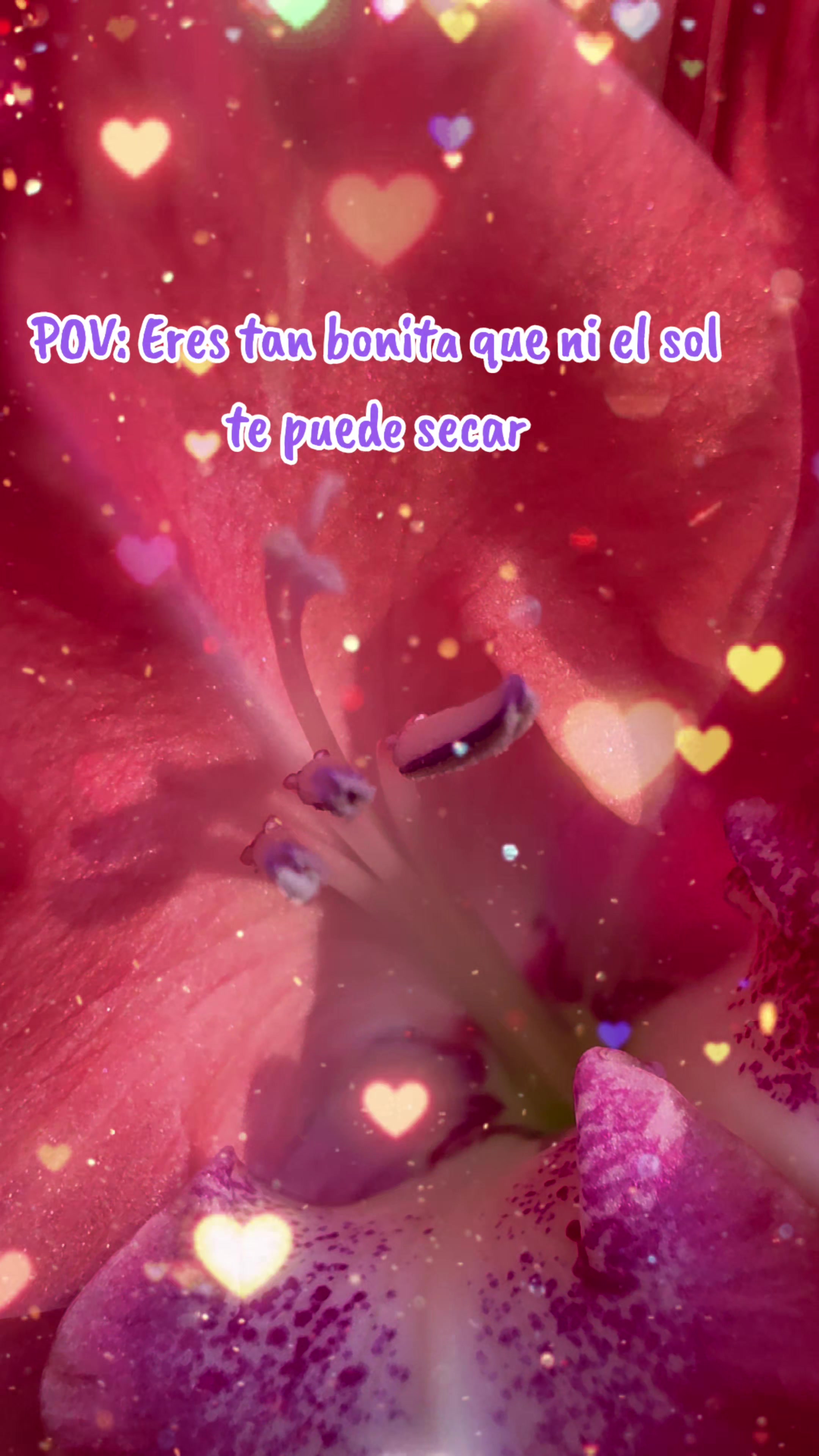 @doly.dfn