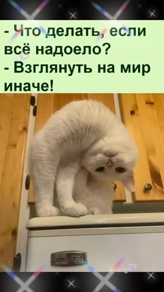 @Елена