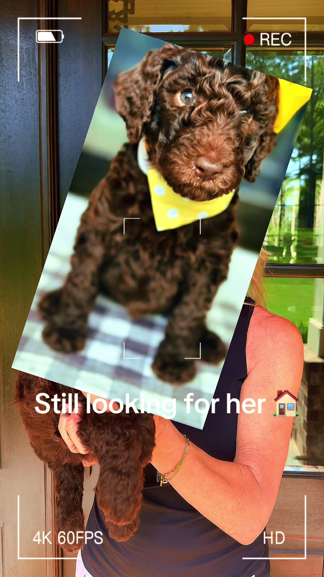 @atlantadoodlesandpoodles
