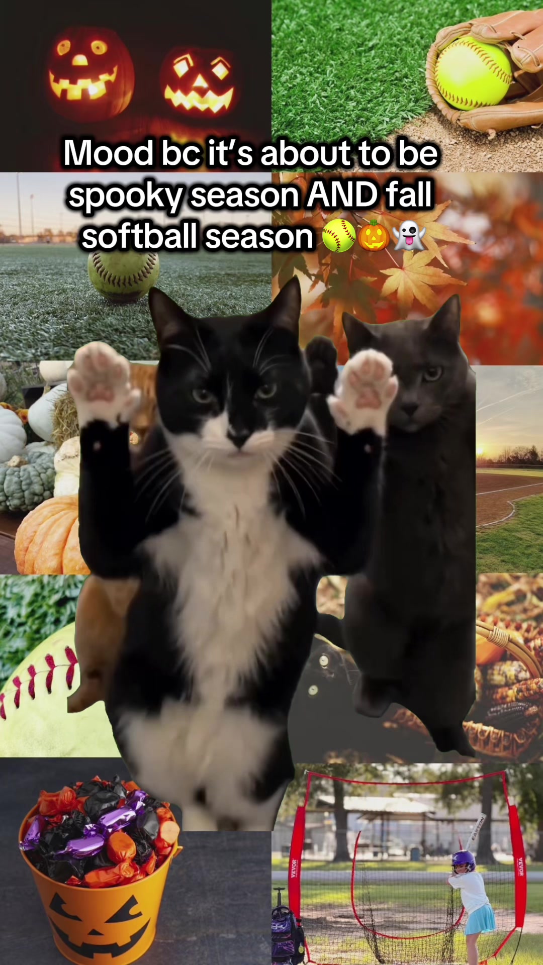 @Violet’s Softball Journey 2k19