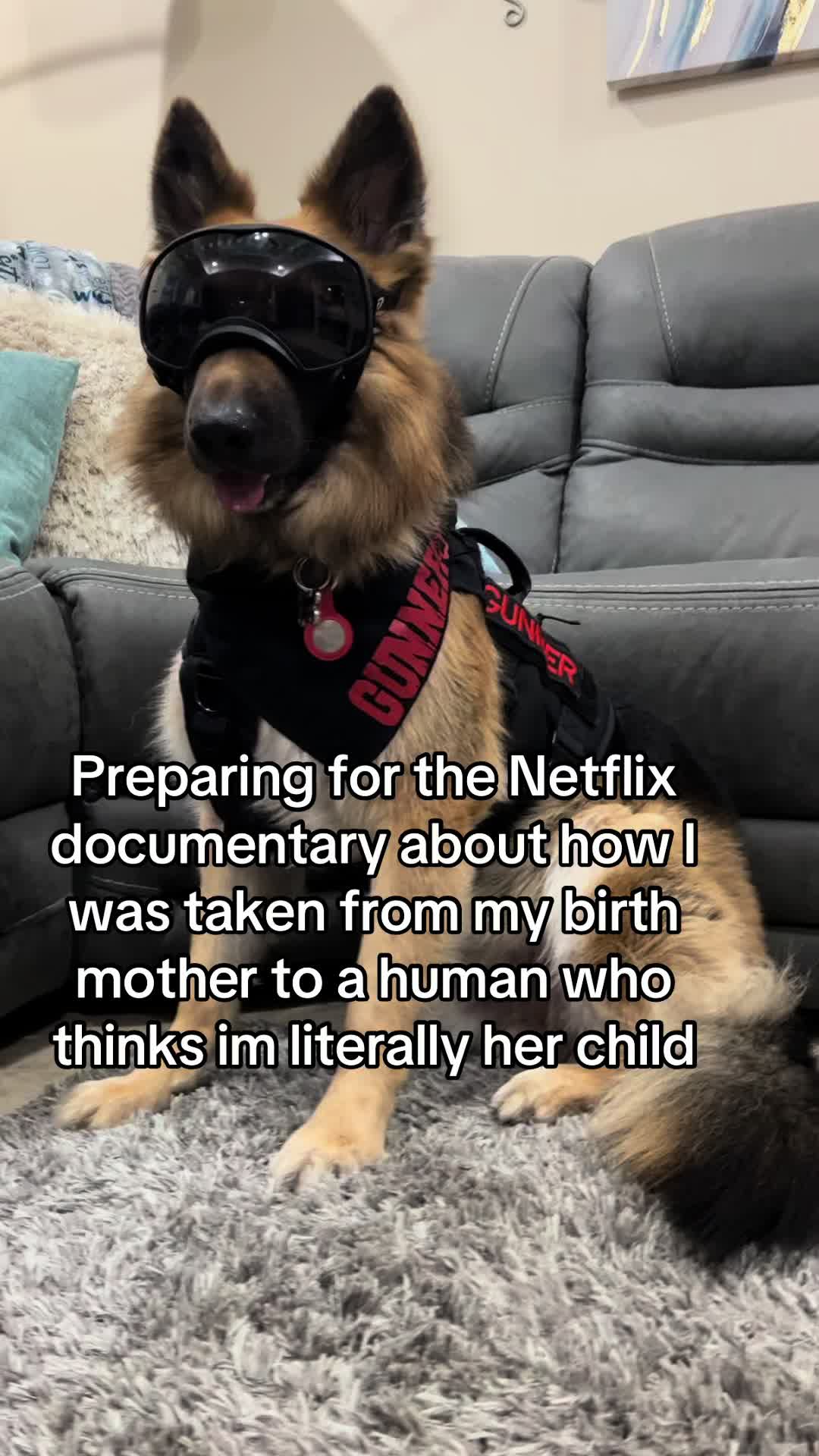 @Gunner GSD🐶