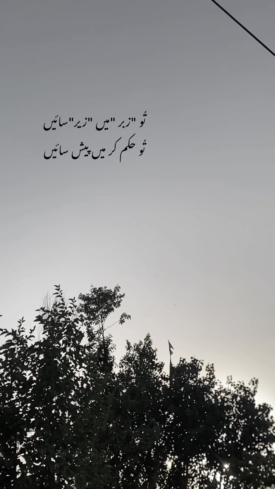 @ℍ𝕒𝕤𝕟𝕒𝕚𝕟_𝕨𝕣𝕚𝕥𝕖𝕤❤🩹