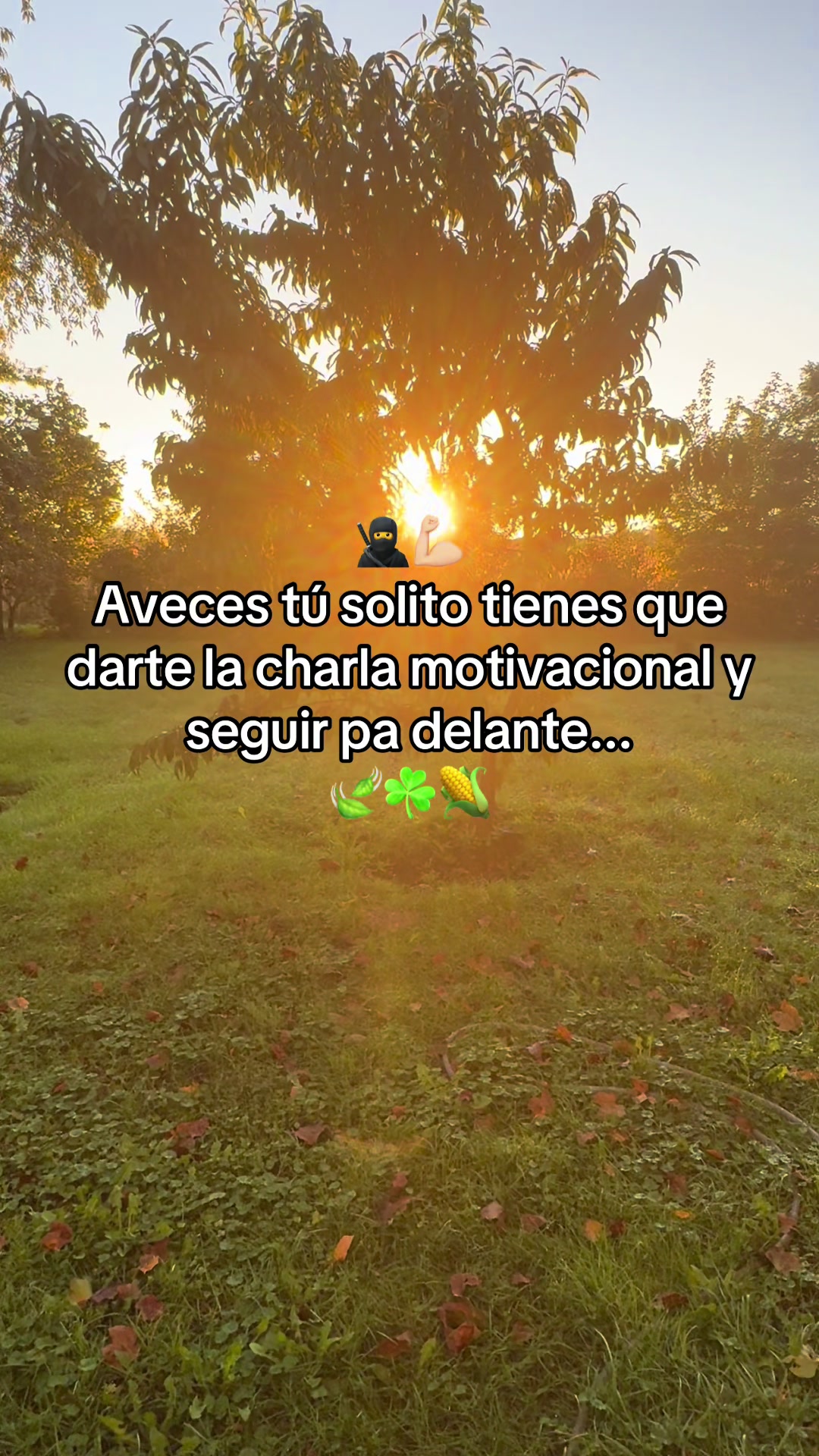 @frasesmotivadoras_777