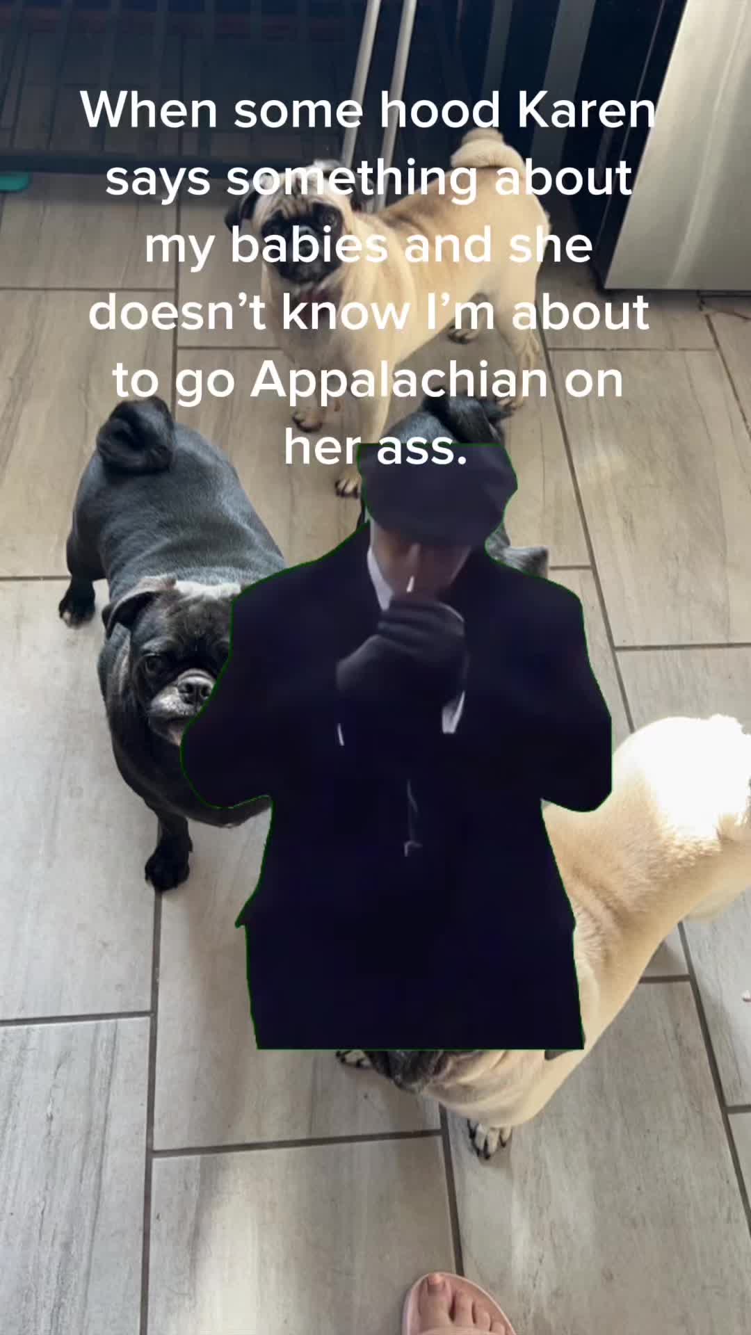 @davispugs77
