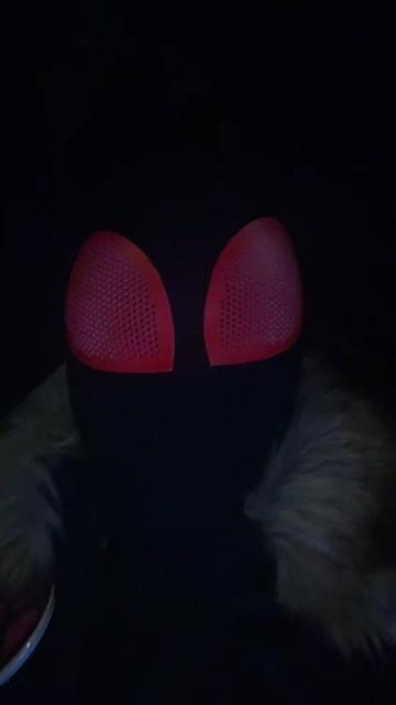 @Wolf-Spider