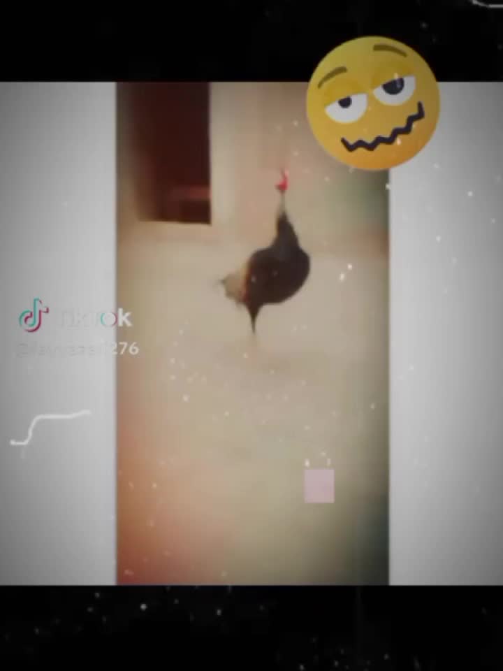 @بَابَا سَا٘ئیں٘