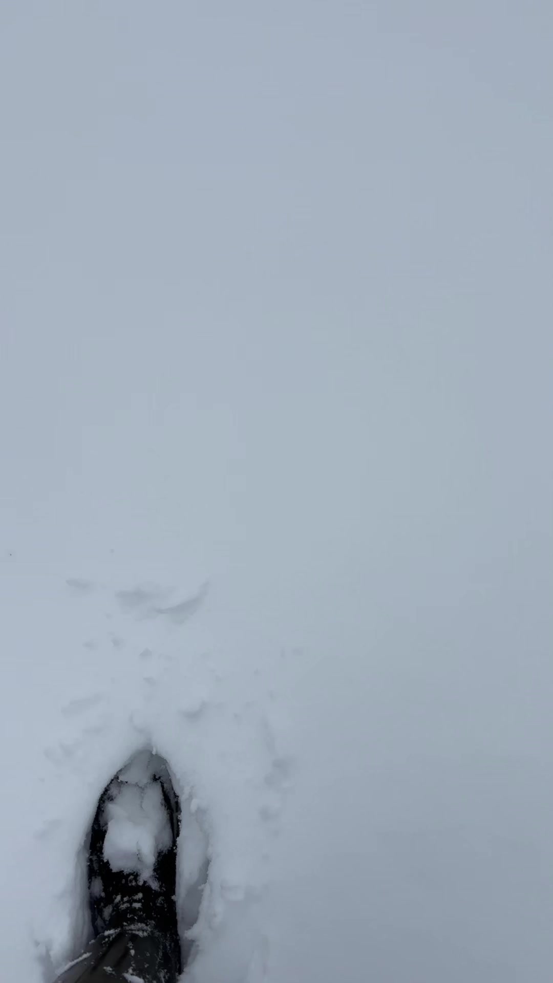 @Ulaş Emre D&ouml;lek