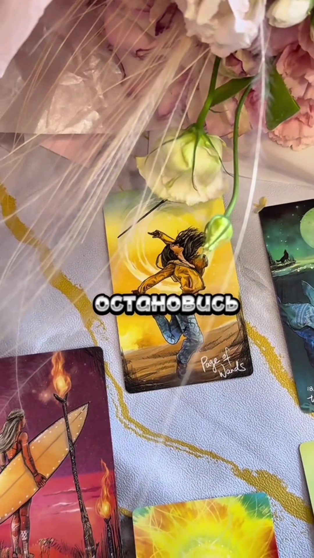 @tarolog_luba