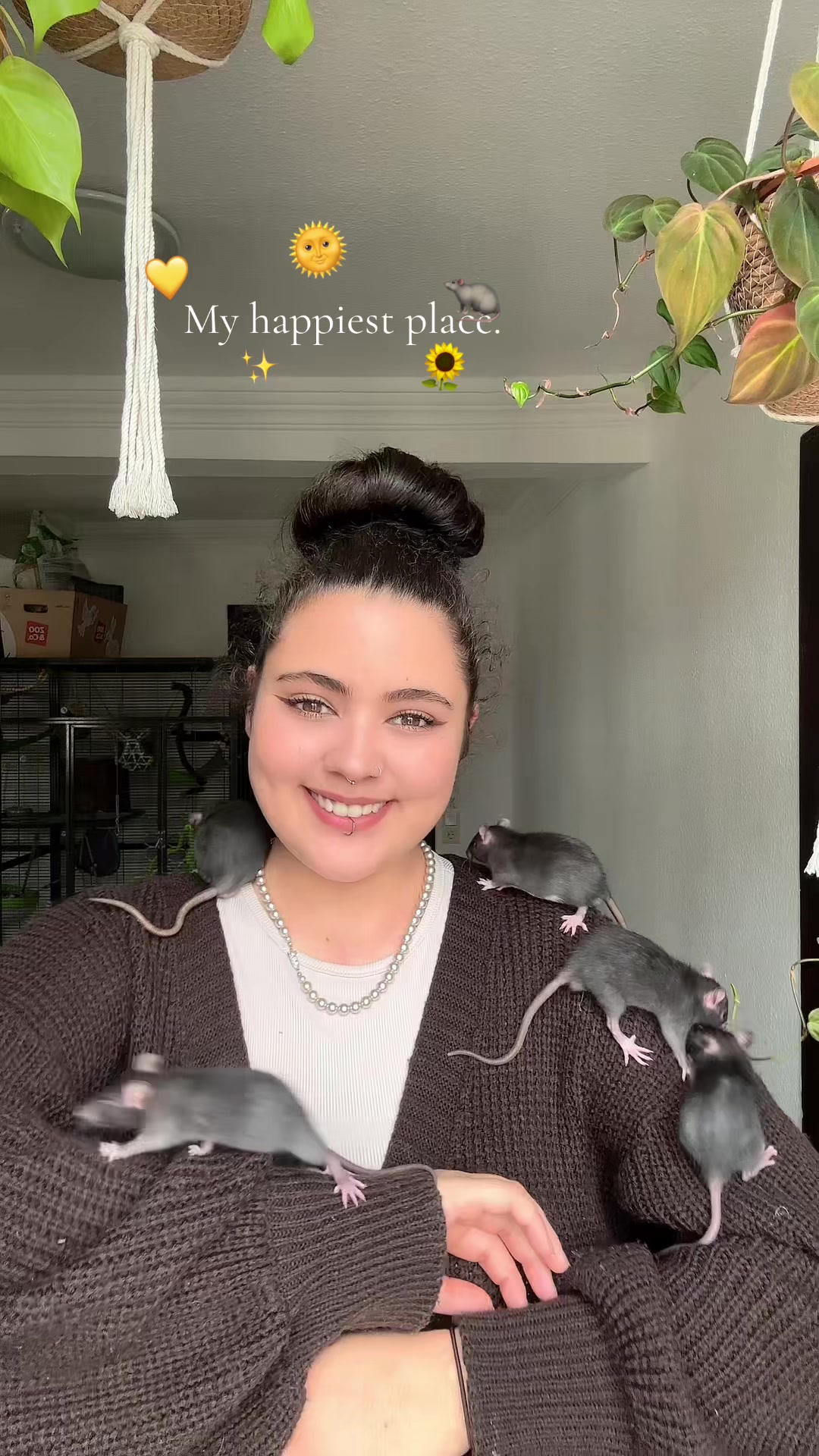 @Kimily 🍄🌞🧿
