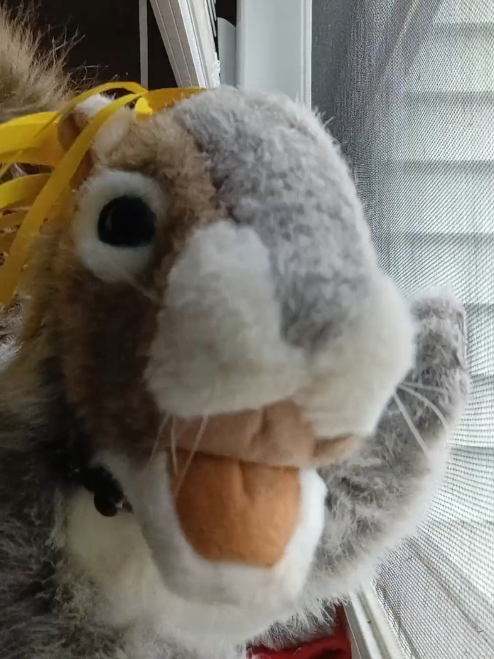 @Charles The Squirrel