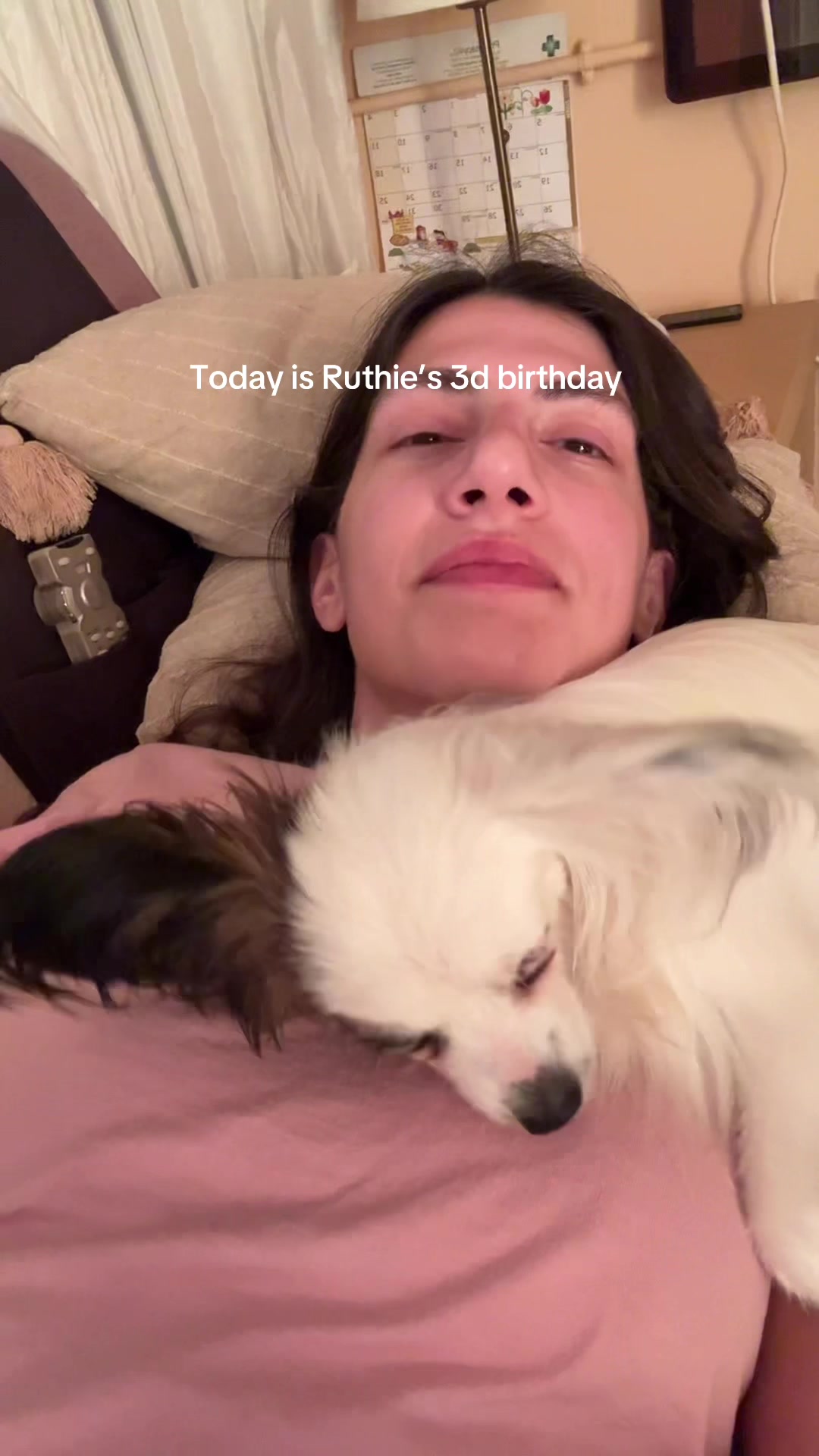 @aphvlogs
