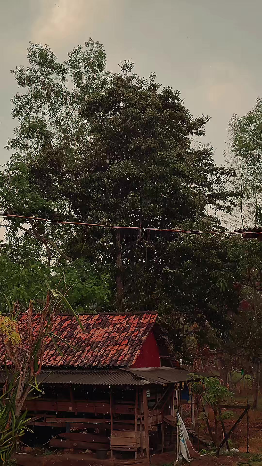 @𝐂𝐚𝐤 𝐇𝐢𝐥