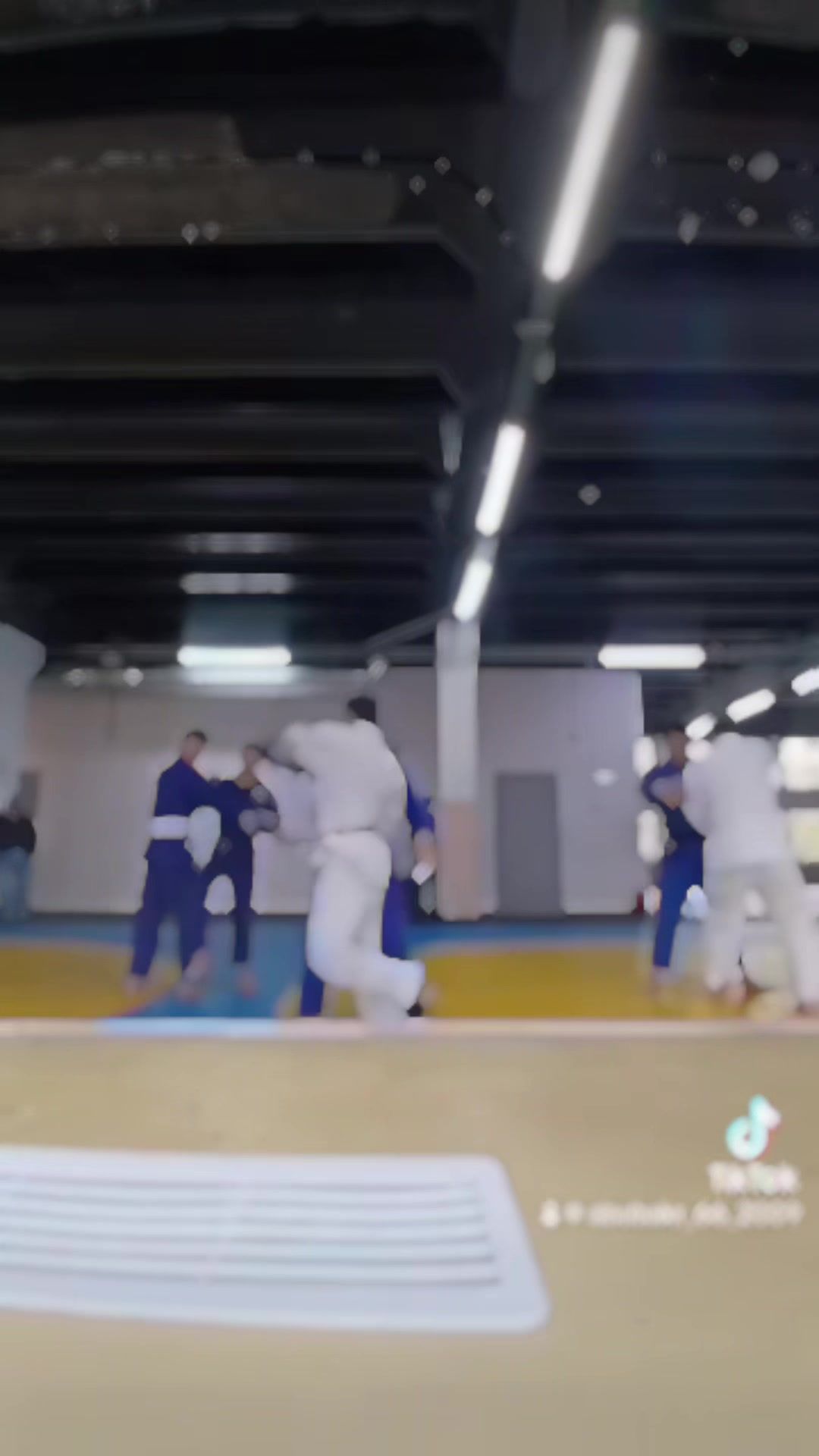 @mir_judo0