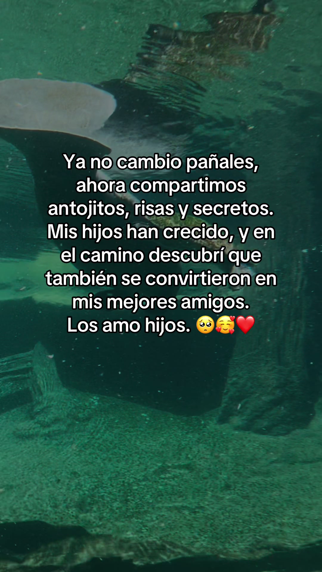 @Sol☀️ frases🥀