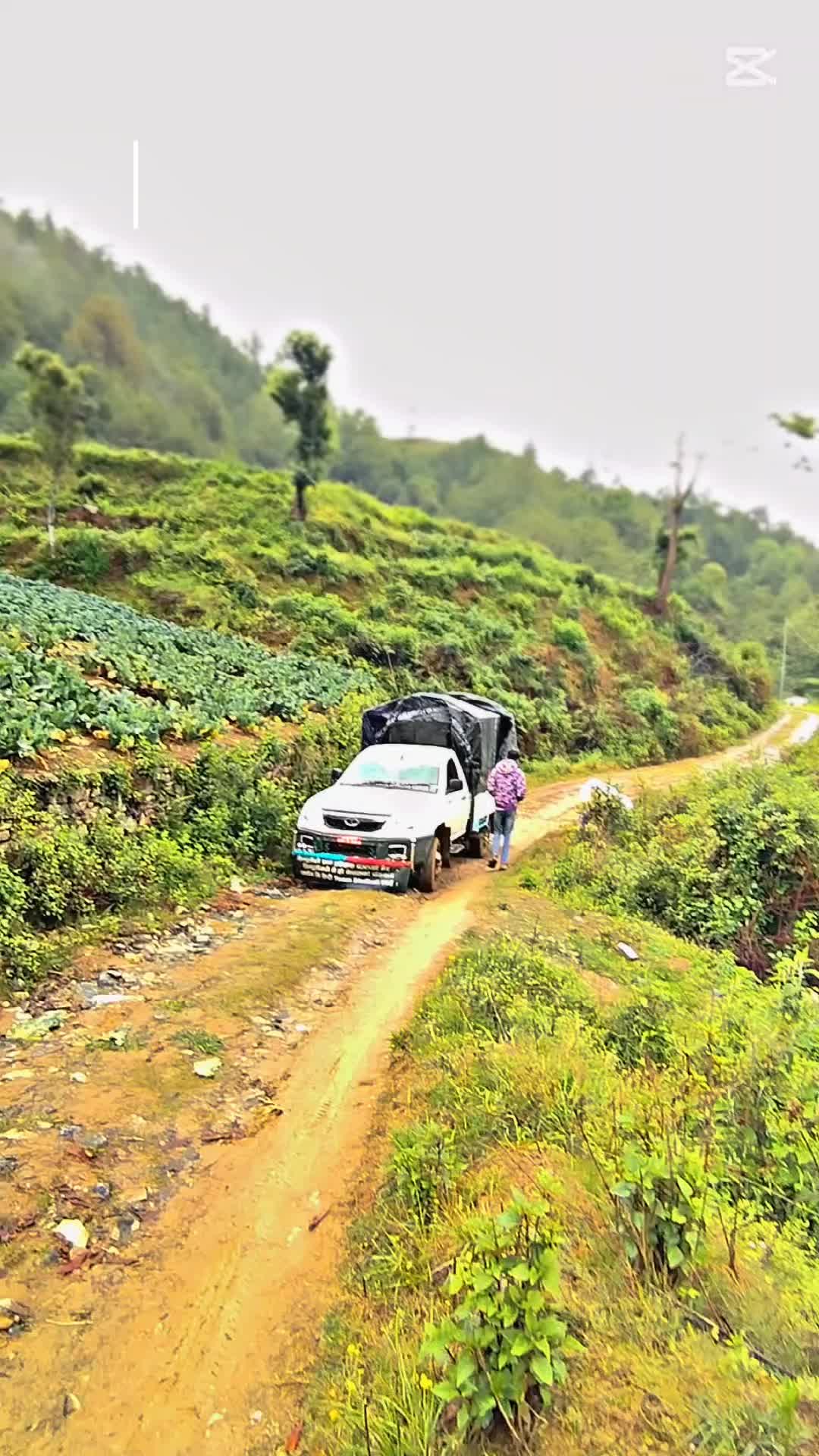 @🤟आयो  दोलखाली ब्राण्ड🤟