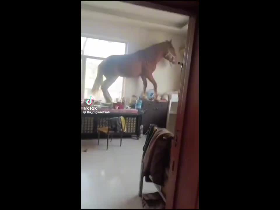 @ميمي مضحك