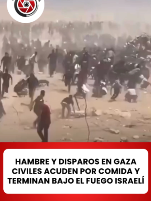 @elveedordigital