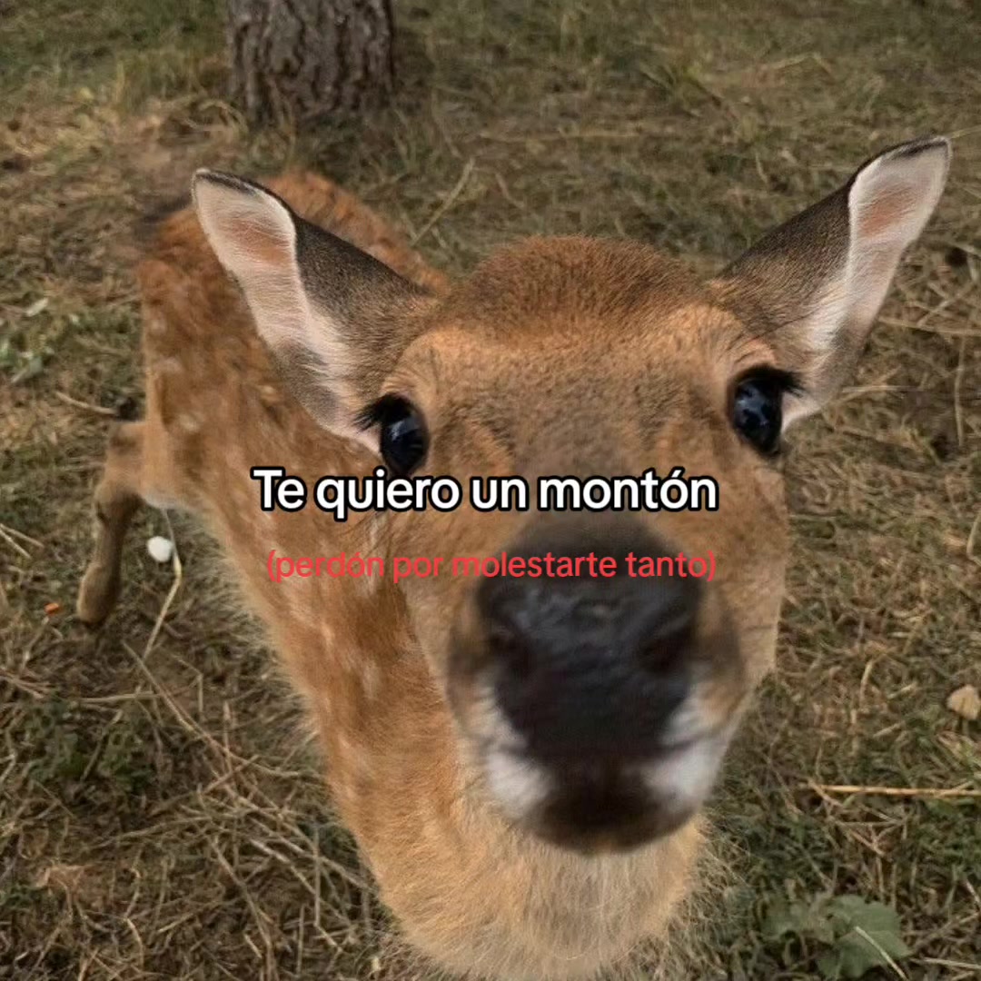 @goodvibessxd
