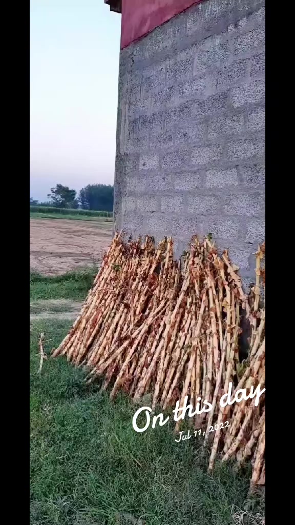 @Ishaq pkvines