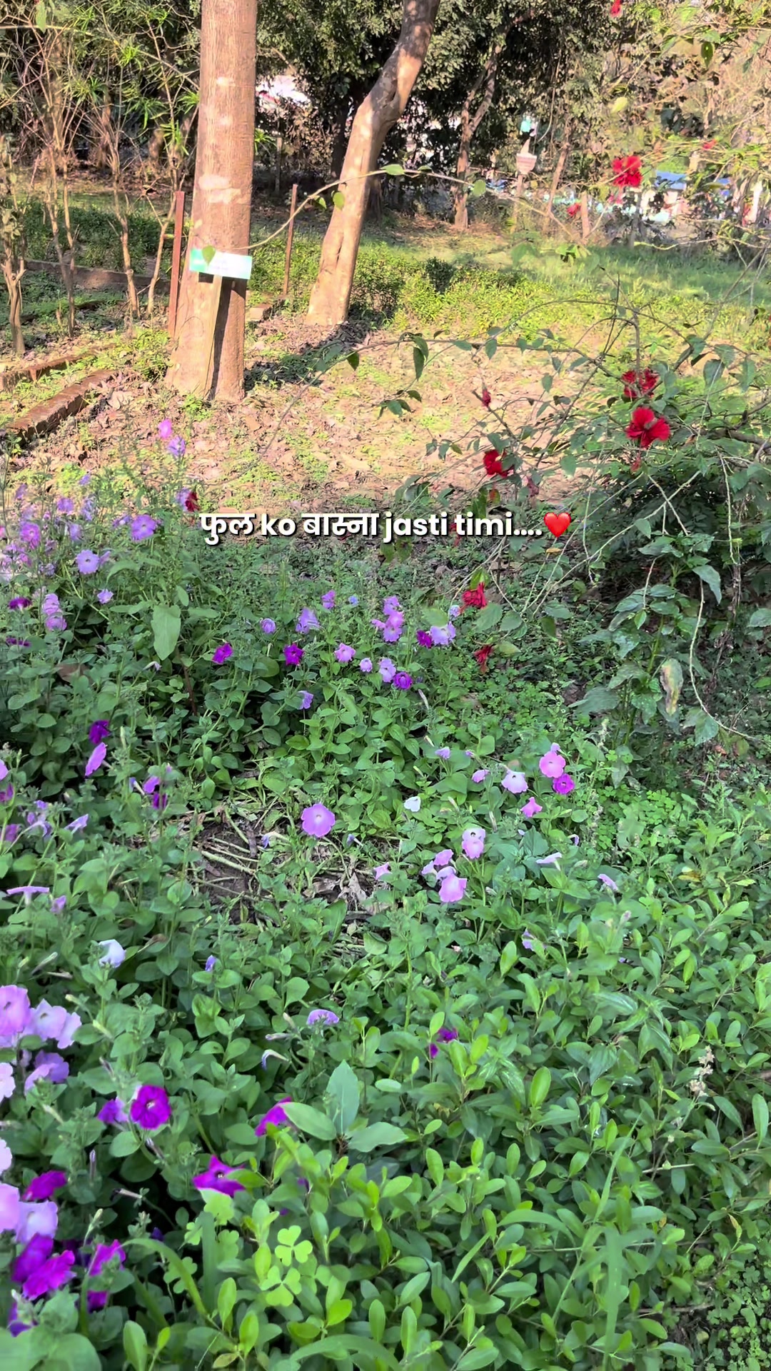 @नारायण 🧿
