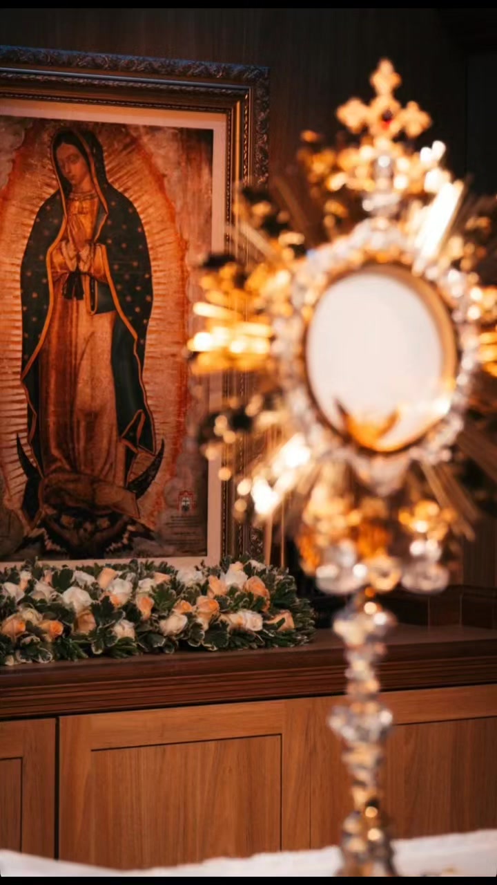 @jovem cat&oacute;lico