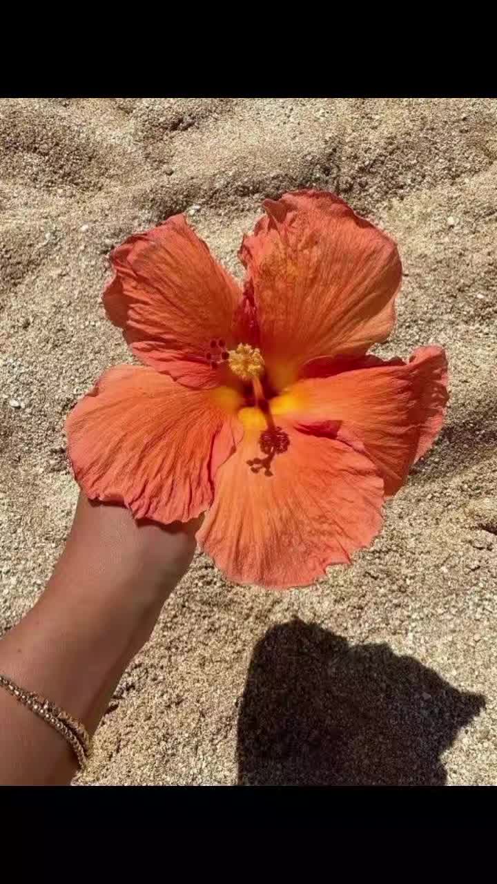 @𝐙𝒆𝒏𝒂`👒 ࣪ ִֶָ ┆ ⩩ 𝟑𝟎𝐊'✮