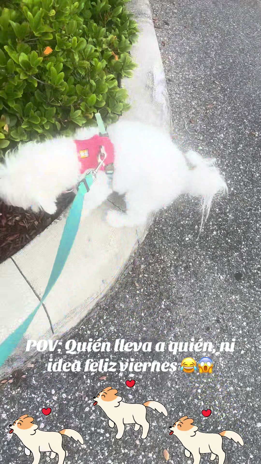 @los3huevertos