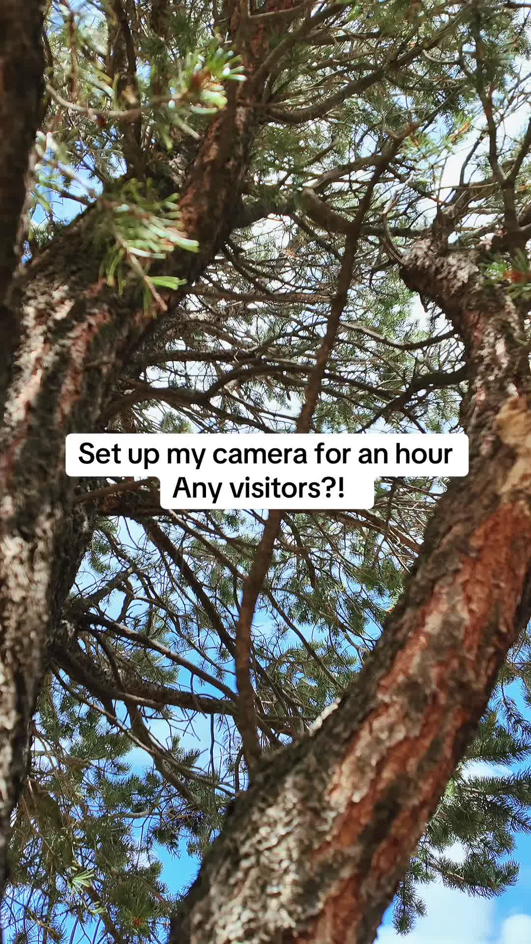 @Keanu