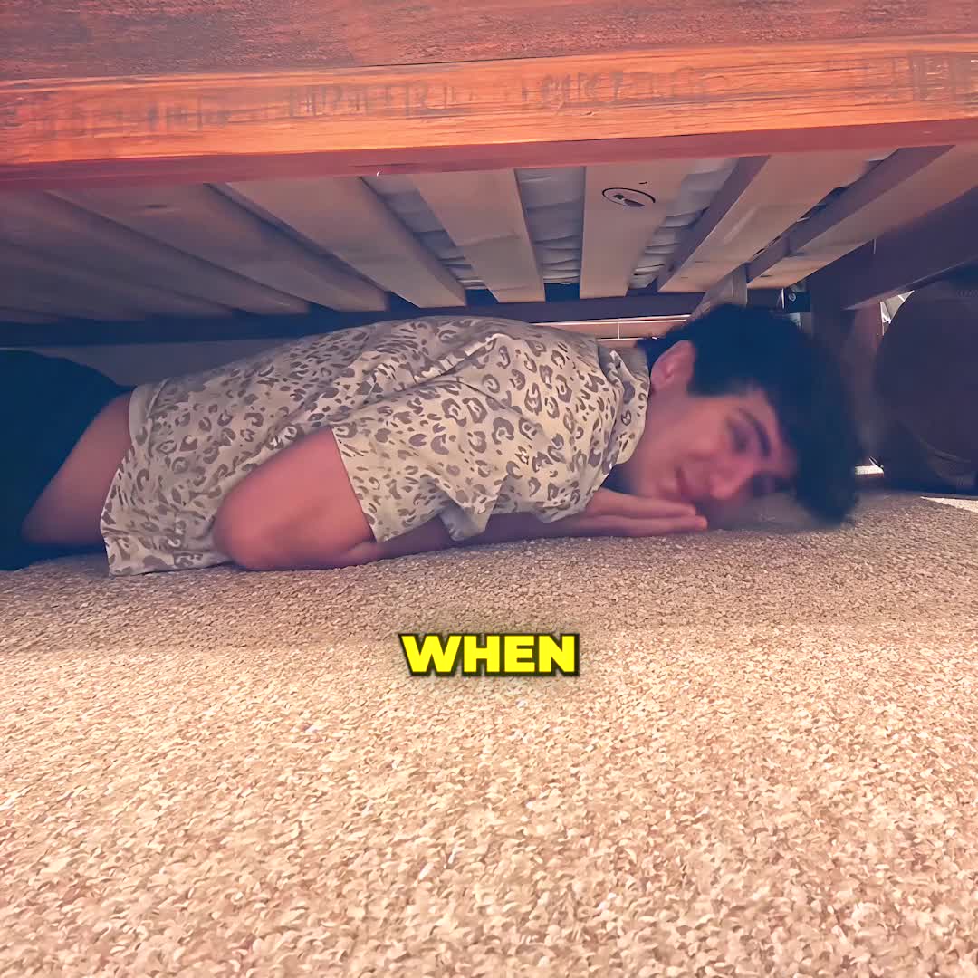 @VibeFlix