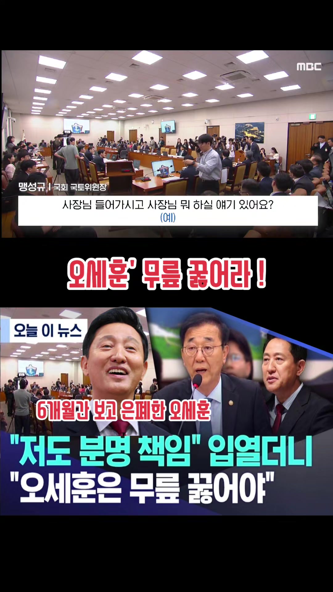 @파란헐크